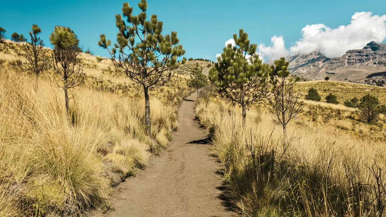 The $4,300 Gift I Managed for My Uncle Vanished on a Hiking Trail